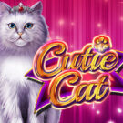 Cutie Cat
