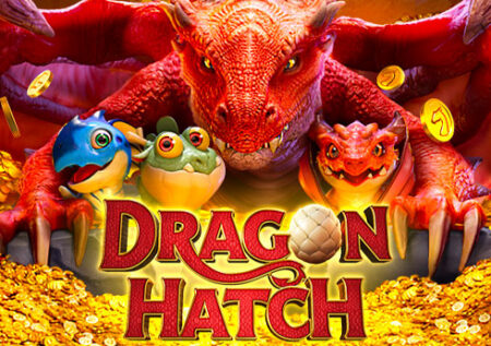 Dragon Hatch