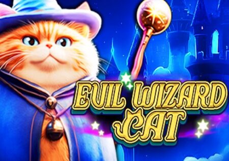 Evil Wizard Cat