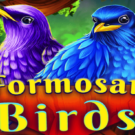 Formosan Birds