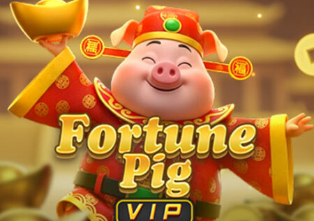 Fortune Pig VIP