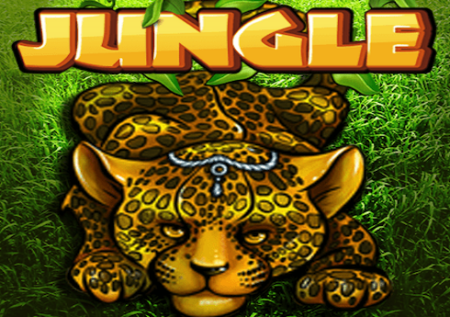 Jungle