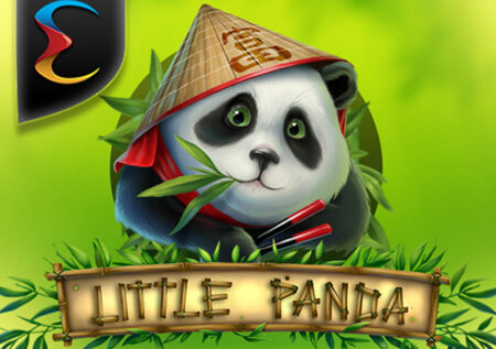 Little Panda