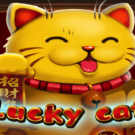 Lucky Cat