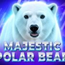 Majestic Polar Bear