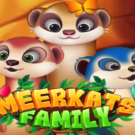 Meerkats’ Family