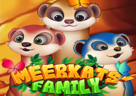 Meerkats’ Family