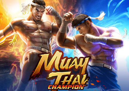Muay Thai Champion