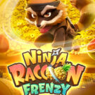 Ninja Raccoon Frenzy