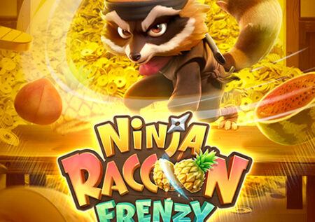 Ninja Raccoon Frenzy