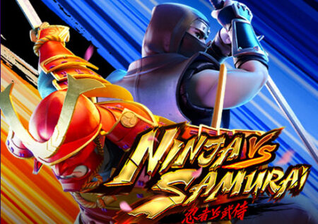 Ninja vs Samurai