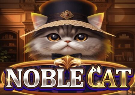Noble Cat