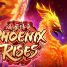 Phoenix Rises