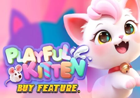 Playful Kitten Buy Feature