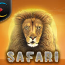 Safari