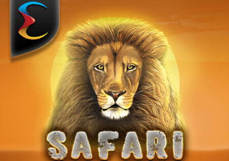Safari