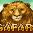 Safari Slots