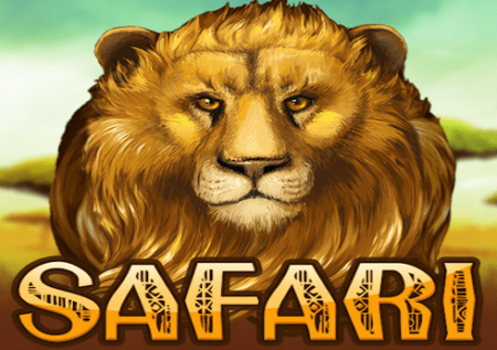 Safari Slots
