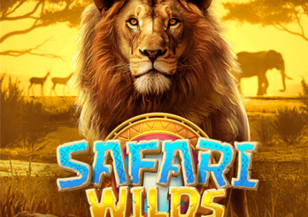 Safari Wilds