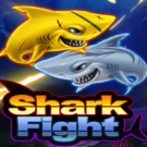 Shark Fight