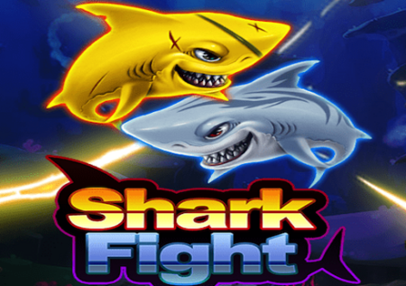 Shark Fight