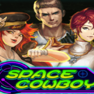 Space Cowboy