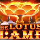 The Lotus Lamp
