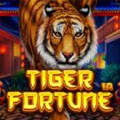 Tiger Fortune