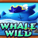 Whale Wild