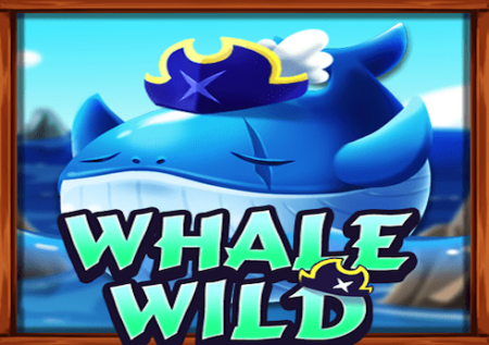 Whale Wild