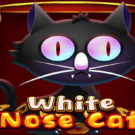 White Nose Cat