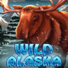 Wild Alaska