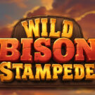 Wild Bison Stampede