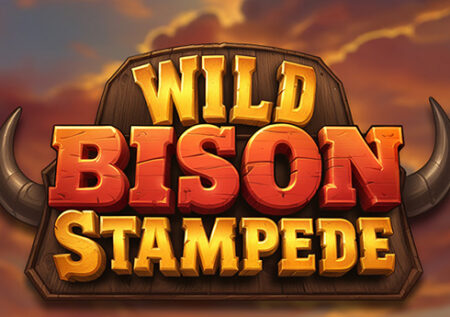 Wild Bison Stampede