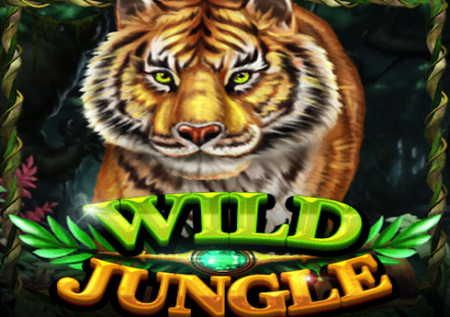 Wild Jungle