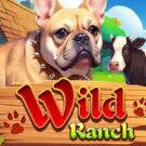Wild Ranch