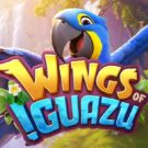 Wings of Iguazu