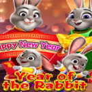 Year of the Rabbit