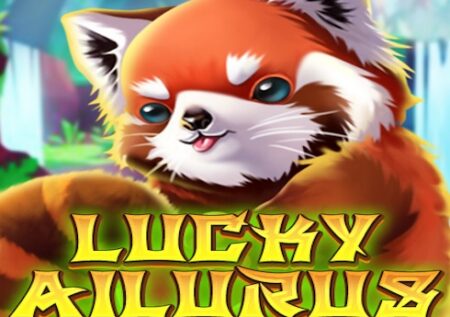 Lucky Ailurus