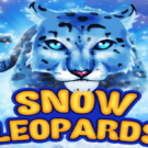 Snow Leopards