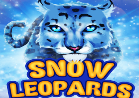 Snow Leopards